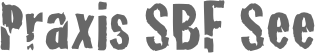 Praxis SBF See